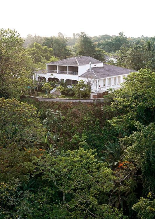 Roca Sundy - Principe Collection Pension Santo António Buitenkant foto